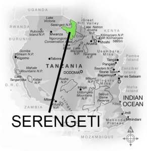 SerengetiNP