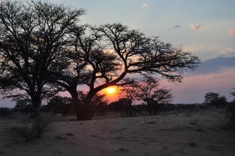 African sunset 1