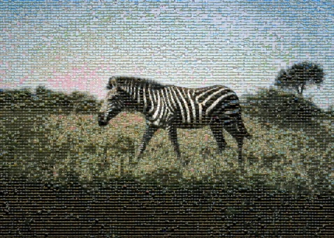 Meta Zebra Mosaic